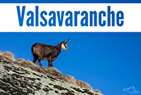 Valsavaranche